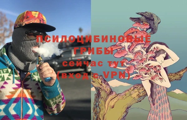 ПСИЛОЦИБИНОВЫЕ ГРИБЫ Алзамай