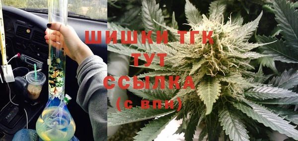 ПСИЛОЦИБИНОВЫЕ ГРИБЫ Алзамай