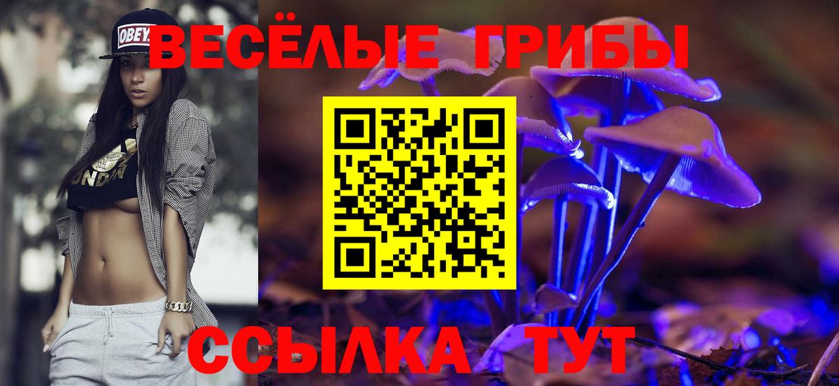 Галлюциногенные грибы GOLDEN TEACHER  Вход с VPN  Кириши 